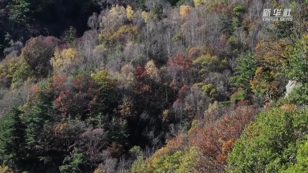 青海循化：碧水如鏡秋色美